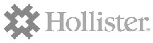 Referenz Hollister Incorporated Logo