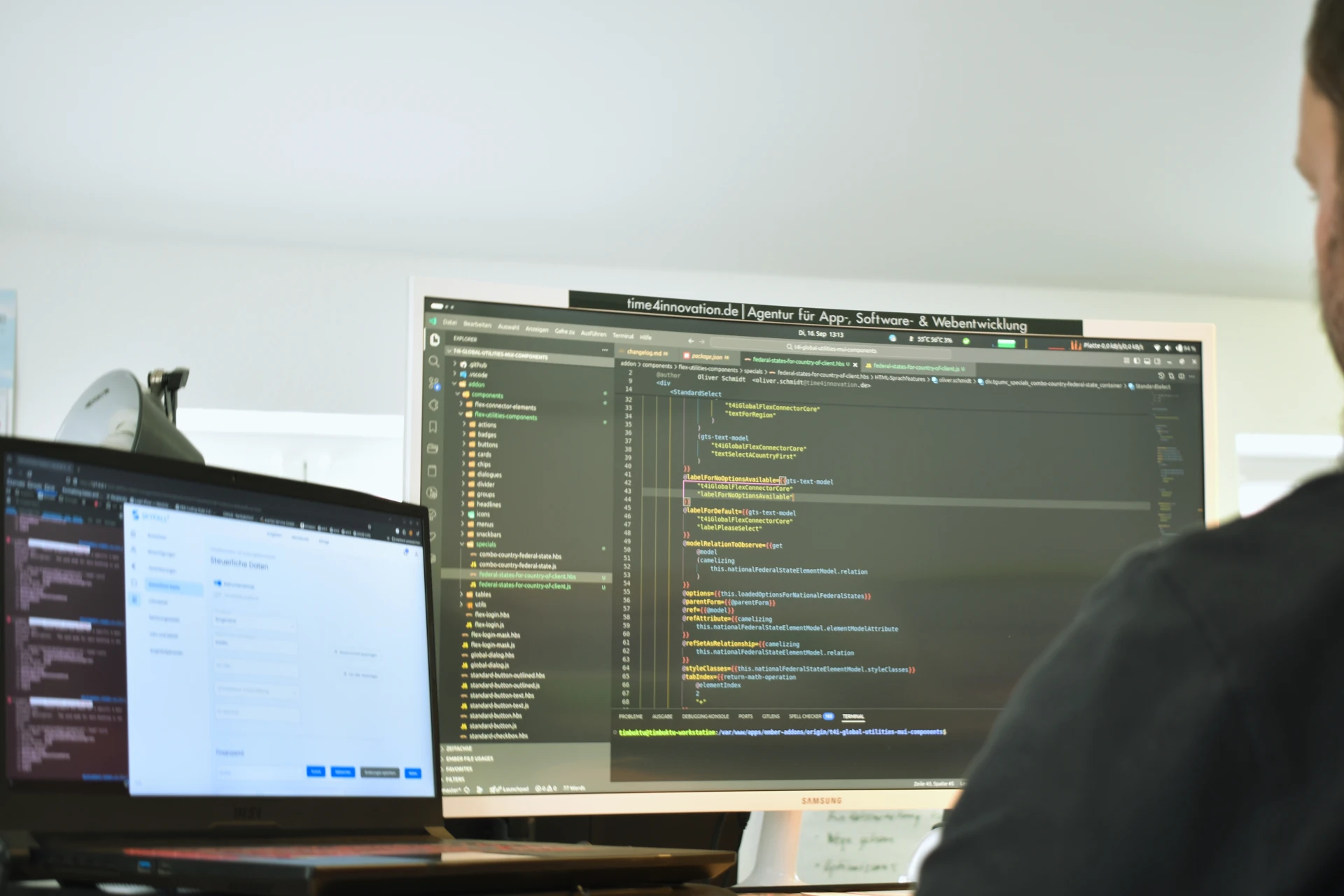 softwareentwicklung